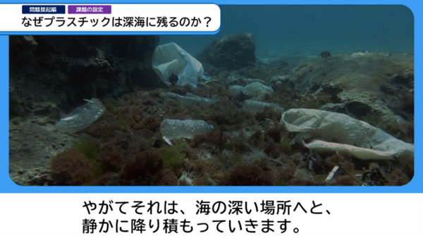 画像が削除されました