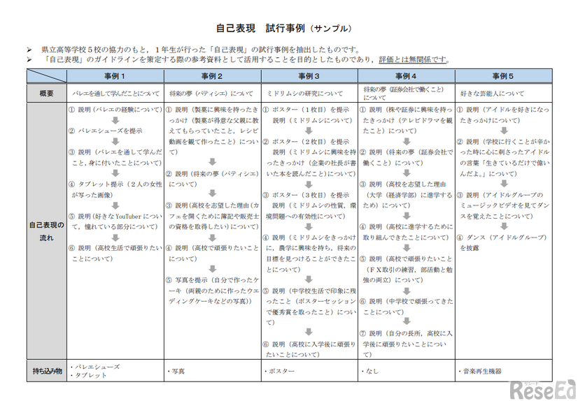 自己表現 試行事例