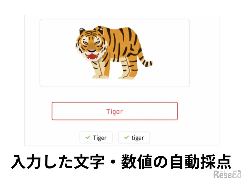 体験できるおもな機能「入力した文字・数値の自動採点」