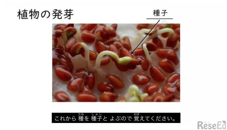ふりがな（ルビ）付きの「やさしい字幕」が表示されたICT教材eboardの映像授業