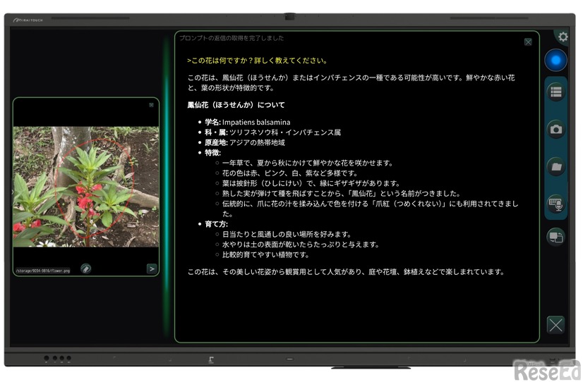 電子黒板「ミライタッチ」上で動作するMIRAI FLOWアプリの利用イメージ（花の画像をAIが解説）