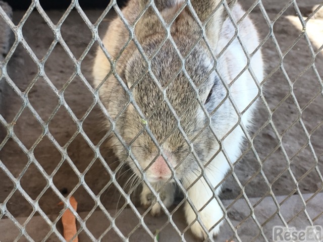 画像はイメージ