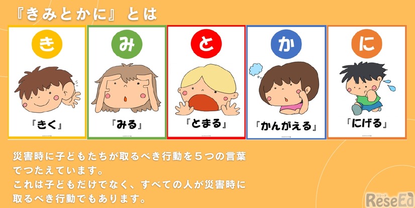 「きみとかに」とは