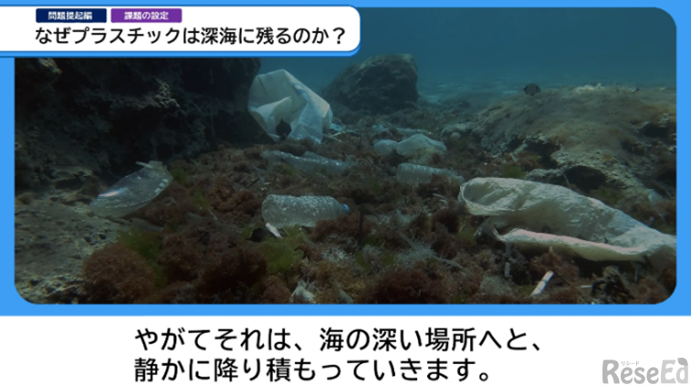 本編動画イメージ 海編