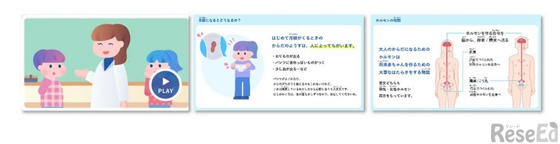 動画教材とスライド教材