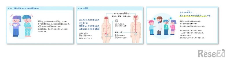 男女共通で学べる設計