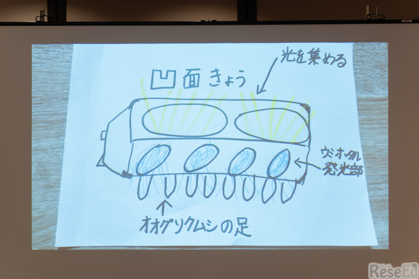 藤本陽南さんの発表動画