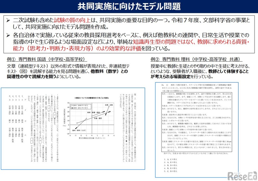 共同実施に向けたモデル問題