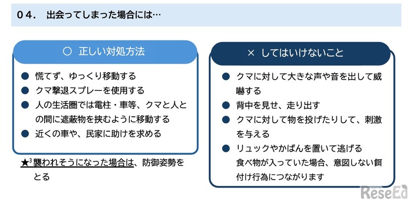 出会ってしまった場合の対処法
