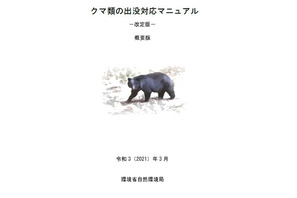文科省、クマ出没に対する安全確保を通知…危機管理マニュアル改訂など要請 画像