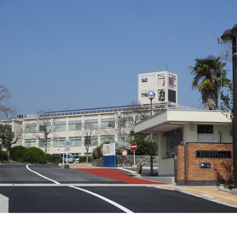 奈良工専×奈良先端科学技術大学院大、連携教育プログラム 画像