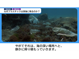 神奈川県、プラスチックごみ問題を探究するオリジナル動画教材公開 画像
