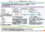 フィルタリングや年齢確認、ネット環境整備の骨子案…こども家庭庁 画像