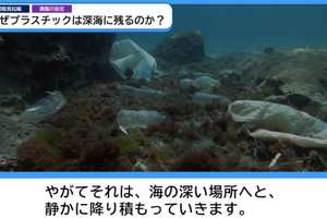神奈川県、プラスチックごみ問題を探究するオリジナル動画教材公開