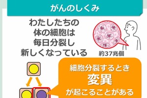 がん教育、教材・外部講師活用研修会の動画配信…文科省