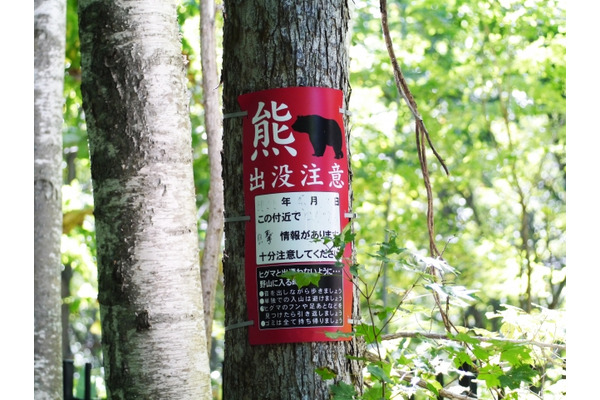 【相談対応Q＆A】クマが出没しないか不安 画像