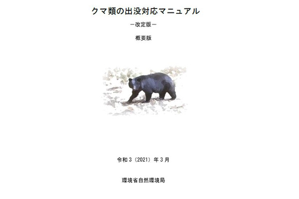 文科省、クマ出没に対する安全確保を通知…危機管理マニュアル改訂など要請 画像