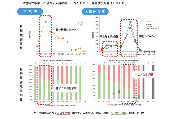 クマ出没増加、学校に安全確保要請…文科省 画像