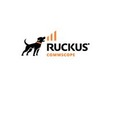 無線LANソリューション「Ruckus」