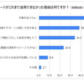 外部サポートがこれまで活用できなかった理由は何ですか？