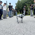 「Unitree Go2」を用いた体験学習