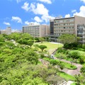 琉球大学