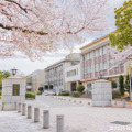 長崎大学