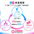 e6合同会社の事業概要