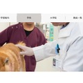 岐阜大学：応用生物科学部 共同獣医学科