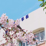 【こんなときどうしてる？】感染対策をした、コロナ禍での入学式の工夫（小学校編） 画像