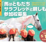 実馬を使った出張授業「馬はともだち」参加校募集 画像