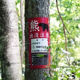 【相談対応Q＆A】クマが出没しないか不安 画像