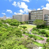 全構成員のウェルビーイング実現のために…琉球大学「RX」が示す大学変革の真価 画像