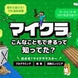 マイクラ教材、初期費用＆システム料0円…放課後等デイ向け特別プラン 画像