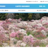 実務3年以上で1次免除、茨城県が教員選考に特別枠を新設 画像