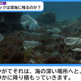 神奈川県、プラスチックごみ問題を探究するオリジナル動画教材公開 画像