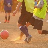 猛暑下の部活動・運動をどう実施するか、専門家が解説5/13 画像