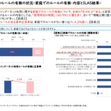 青少年のネットリテラシー、家庭のルールが正答率に影響…総務省調査 画像