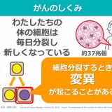がん教育、教材・外部講師活用研修会の動画配信…文科省 画像