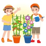 小学生の栽培学習、教員の7割「命大切にする心」育むと実感 画像