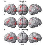 短期間の留学、脳機能に顕著な変化…東大調査 画像