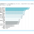 国の保育士配置基準では「大きな負担になっていたり、十分にやれていないと感じるもの」は何ですか