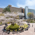 桜美林大学