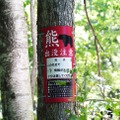 画像はイメージ