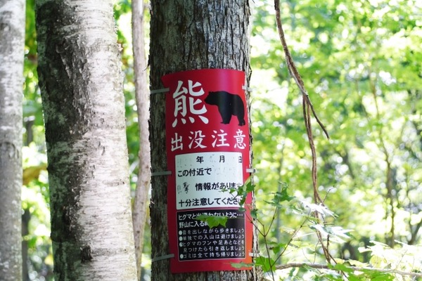 【相談対応Q＆A】クマが出没しないか不安 画像