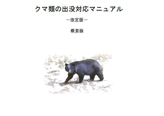 文科省、クマ出没に対する安全確保を通知…危機管理マニュアル改訂など要請 画像