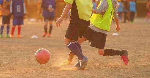 猛暑下の部活動・運動をどう実施するか、専門家が解説5/13 画像