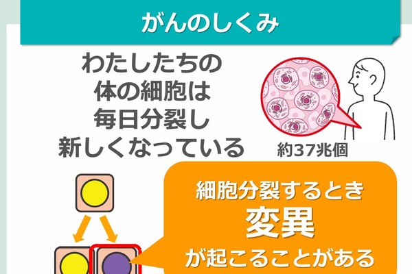 がん教育、教材・外部講師活用研修会の動画配信…文科省 画像