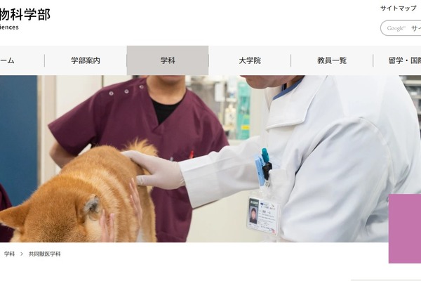 岐阜大と鳥取大、共同獣医学部設置構想…2028年度の設置へ 画像