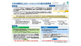 大学の国際化によるソーシャルインパクト創出支援事業